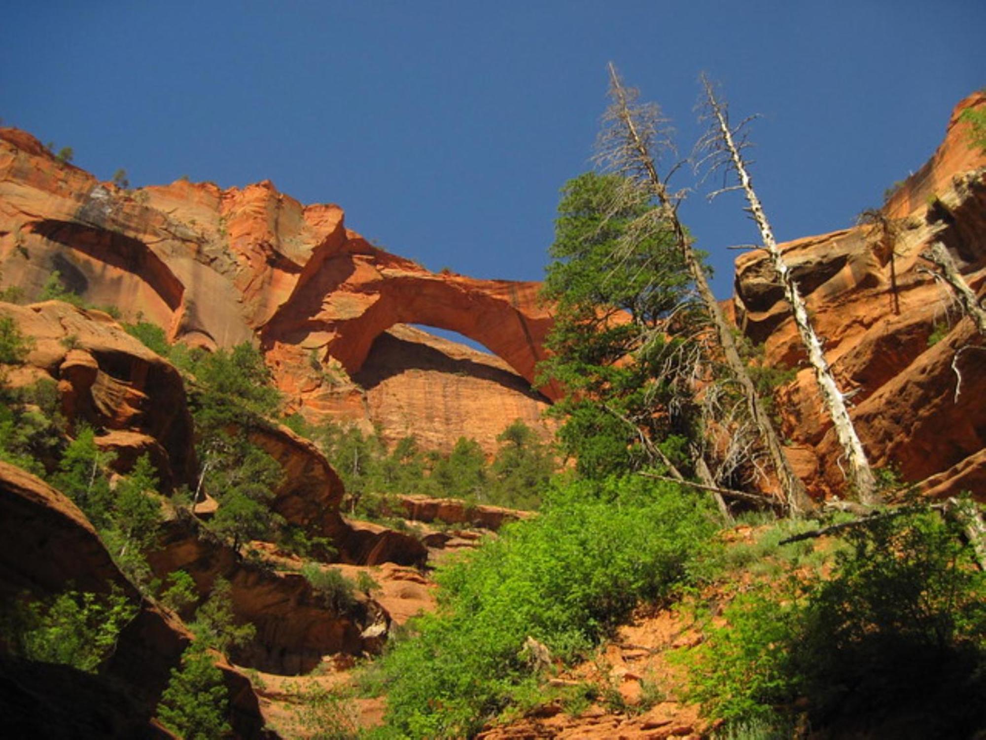 Holiday Inn La Verkin - Zion Park By Ihg Eksteriør bilde